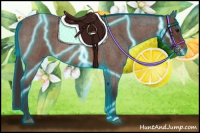 Horse Color:Thunderstruck Bay Roan 