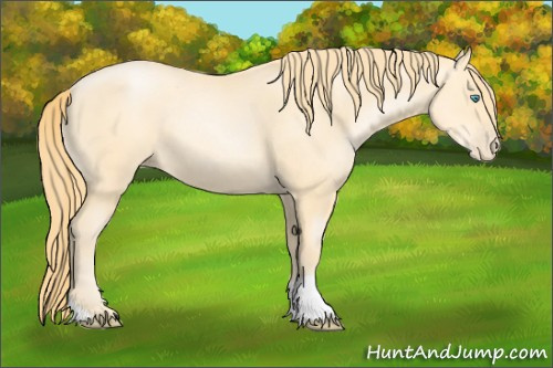 Horse Color: Buckskin Pearl 