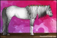 Horse Color:Gray Black 