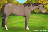 Horse Color:Classic Champagne 