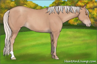 Horse Color:Silver Sable Champagne