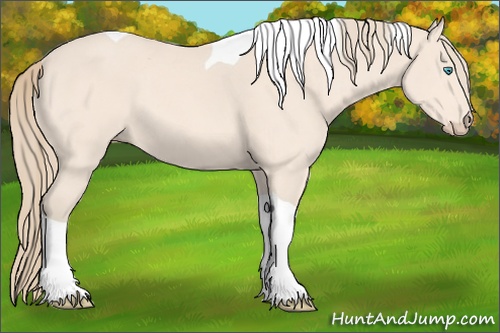 Horse Color:Perlino Tobiano 