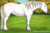 Horse Color:White Spotted Perlino Dun Splash Frame 