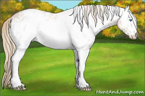 Horse Color: White Spotted Perlino 