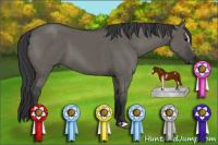 Horse Color:Grullo Sabino