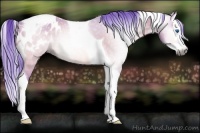 Horse Color:Gray Watercolor Bay Dun Splash Tobiano Blanket Rabicano