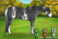 Horse Color:White Spotted Black