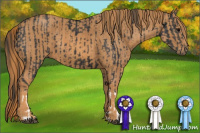 Horse Color:Black  Brindle