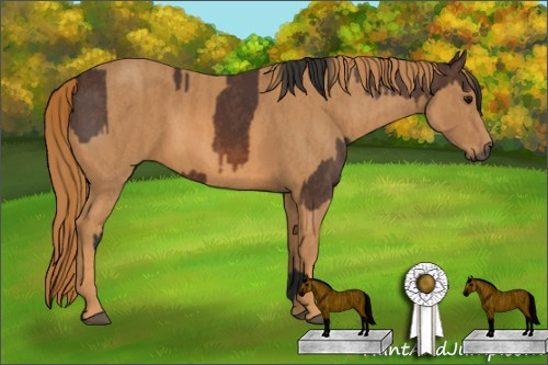 Horse Color: Brown  Brindle