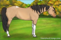 Horse Color:Bay Dun Tobiano 