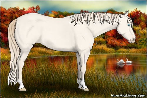 Horse Color: Perlino Dun 