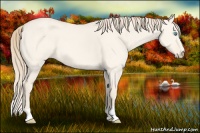 Horse Color:Perlino Dun 