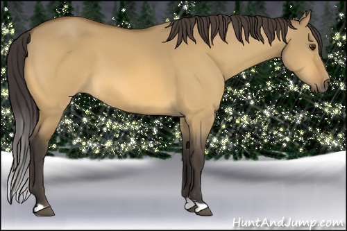Horse Color: Buckskin Dun 