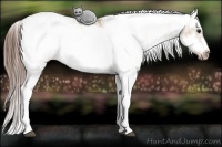 Horse Color:Bay Dun Sabino Splash Frame Blanket Rabicano 