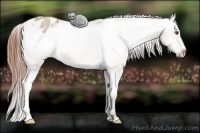 Horse Color:Classic Champagne Dun Varnish 