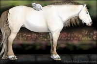 Horse Color:Gray Smoky Grullo Roan Pearl 