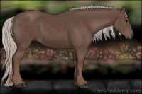 Horse Color:Silver Black Rabicano 