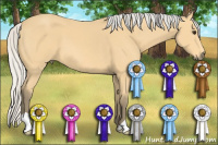 Horse Color:Silver Buckskin 