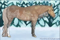 Horse Color:Silver Bay Ice 