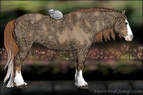 Horse Color:Red Dun Ice Sabino Splash Rabicano 