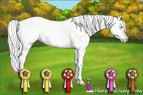 Horse Color: Silver Perlino Dun Splash 