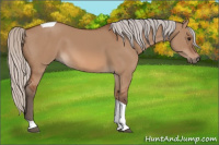 Horse Color:Silver Bay Dun Tobiano