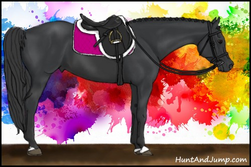 Horse Color: Bay 
