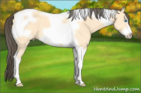 Horse Color:Amber Cream Champagne Tobiano Frame 