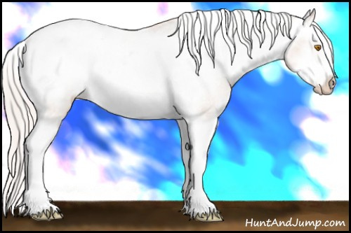 Horse Color: Silver Sable Champagne Roan Splash Frame Snowcap Rabicano 