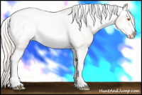 Horse Color:Silver Sable Champagne Roan Splash Frame Snowcap Rabicano 