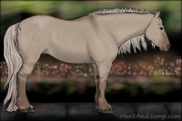 Horse Color:Silver Grullo