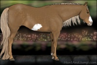 Horse Color:Chocolate Palomino Frame 