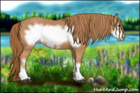 Horse Color:Chestnut Frame 