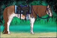 Horse Color:White Spotted Liver Chestnut