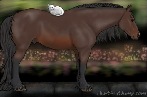 Horse Color: Bay 