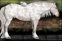 Horse Color:Silver Brown Ice Appaloosa 