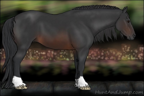 Horse Color: Brown 