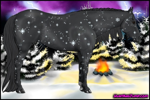 Horse Color: Black Rabicano 