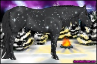 Horse Color:Black Rabicano 