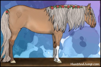 Horse Color:Silver Bay Dun 