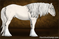 Horse Color:Cremello Dun Tobiano 