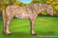 Horse Color:Palomino Dun Splash Frame  Brindle