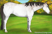 Horse Color:White Spotted Bay Ice 