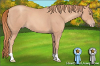 Horse Color:Gold Champagne Roan