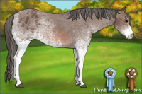 Horse Color:White Spotted Bay Appaloosa