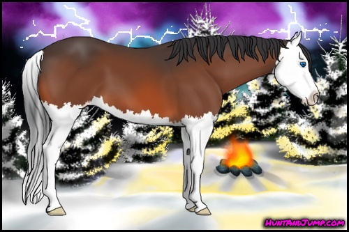 Horse Color: Bay Splash 