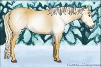 Horse Color:Gray Palomino