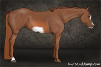 Horse Color:Liver Chestnut Frame 