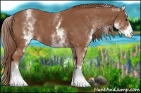 Horse Color:White Spotted Chestnut Sabino