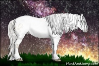 Horse Color:Gray Silver Amber Cream Champagne Roan Dun Splash Tobiano Frame Appaloosa Rabicano 